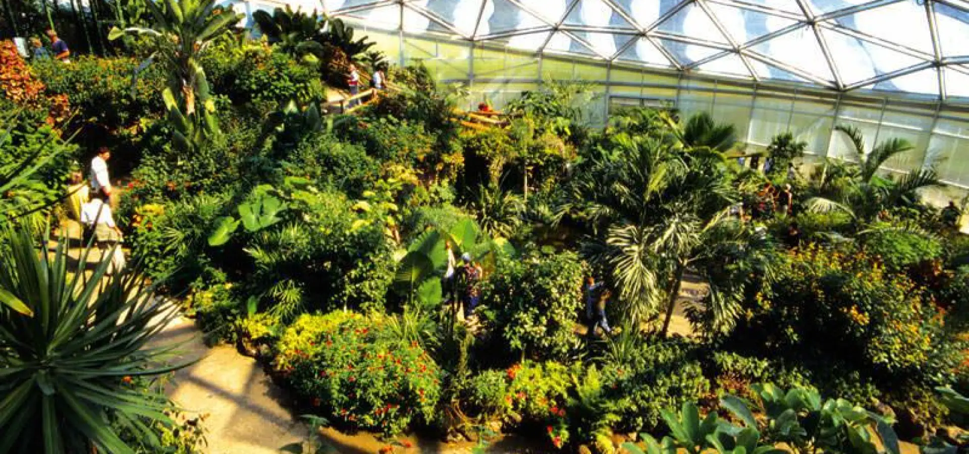 Papiliorama, Kerzers photo