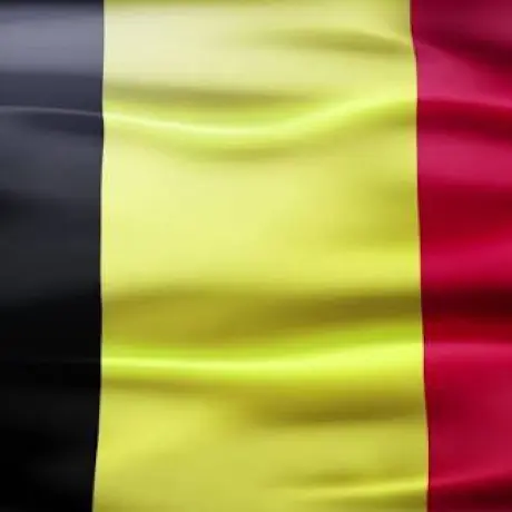 Celebrating Belgian National Day with 20% Off All Concerts in Belgium