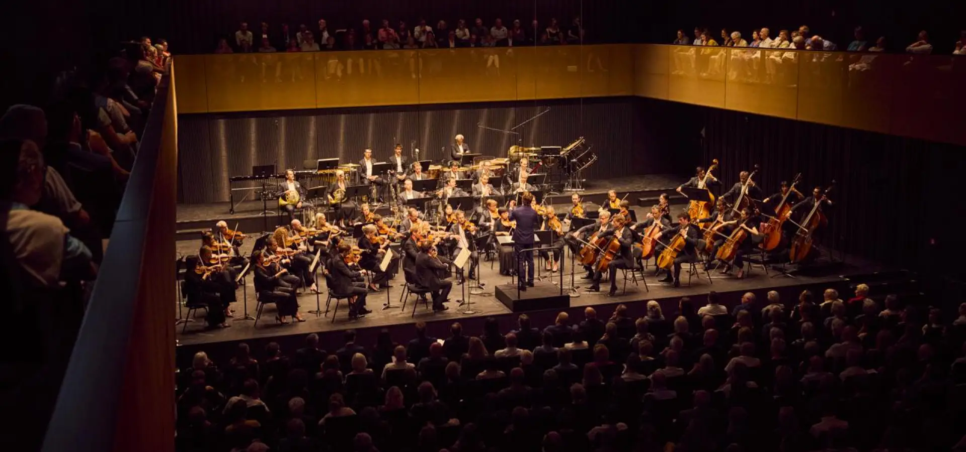 Noda BCVS, Сион фото