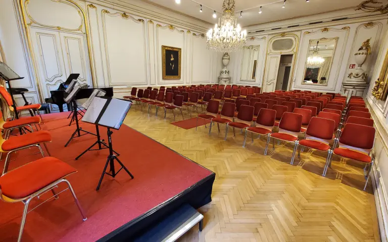 Palais P&aacute;lffy, Vienna